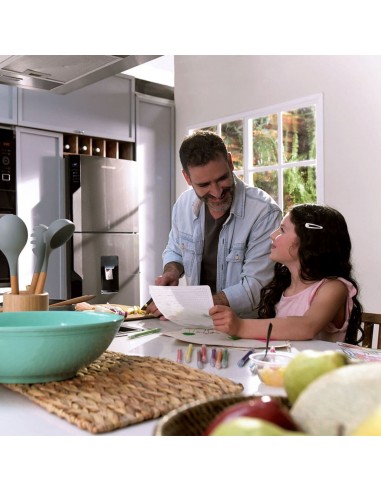 Nevera Challenger 317 Lt Lumina...