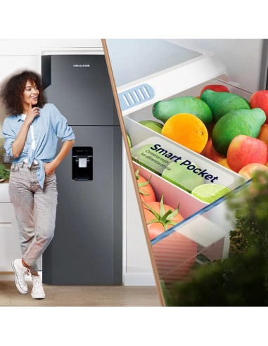 Nevera Challenger 249 Litros Lumina...