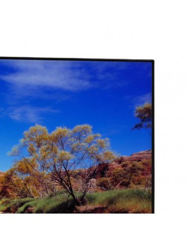 Televisor Challenger 43 pulgadas LED...