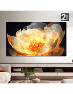Televisor TCL 75 pulgadas LED Ultra HD Smart 4K 75V6C 1 2